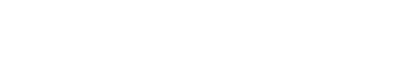 SILVA WAVE TECHNOLOGIES